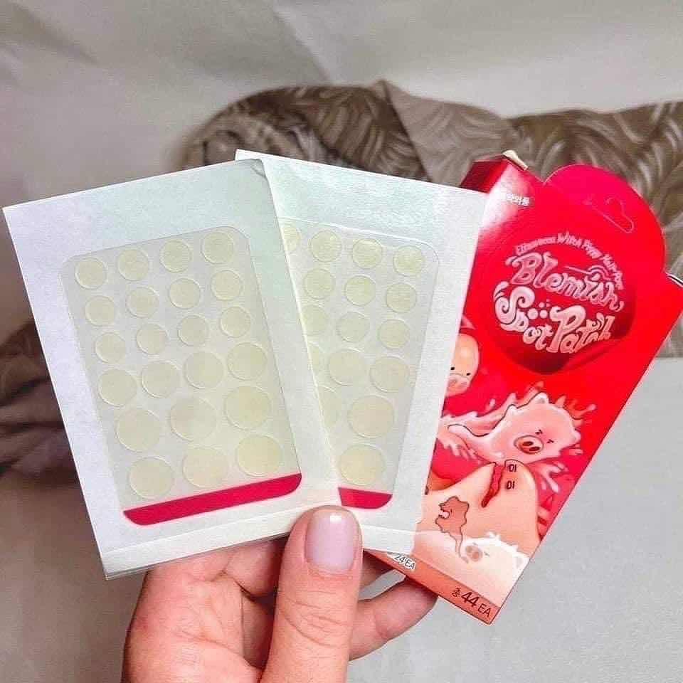 បិតមុនជ្រូក