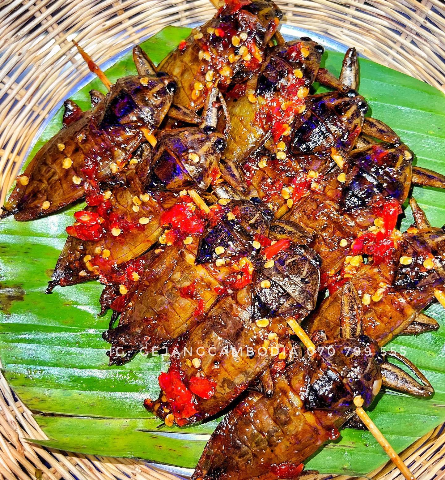 កន្ទាទូកអាំង