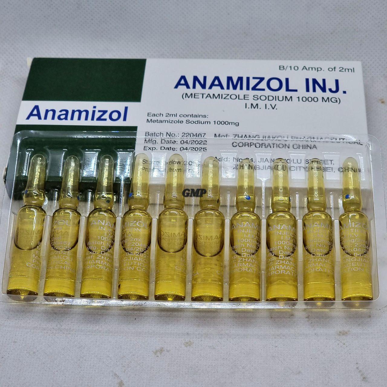 Anamizol Inj (Metamizole Sodium 1000mg) 10 AMP 04/2025