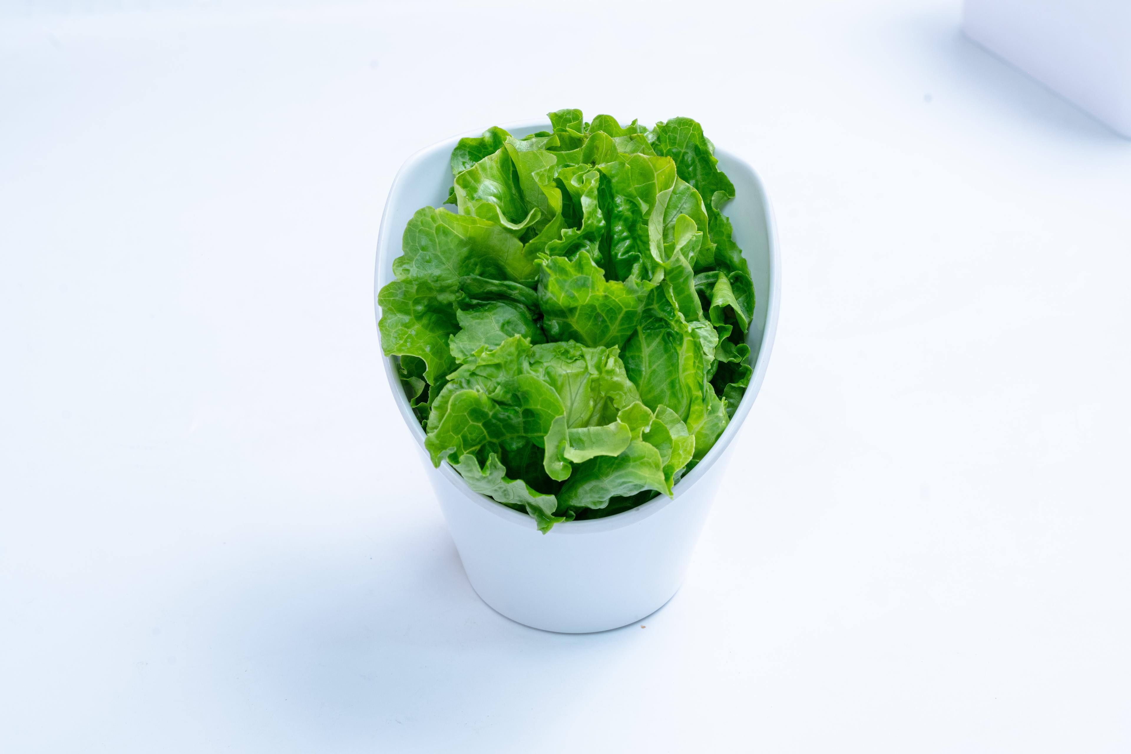 Crispy salad