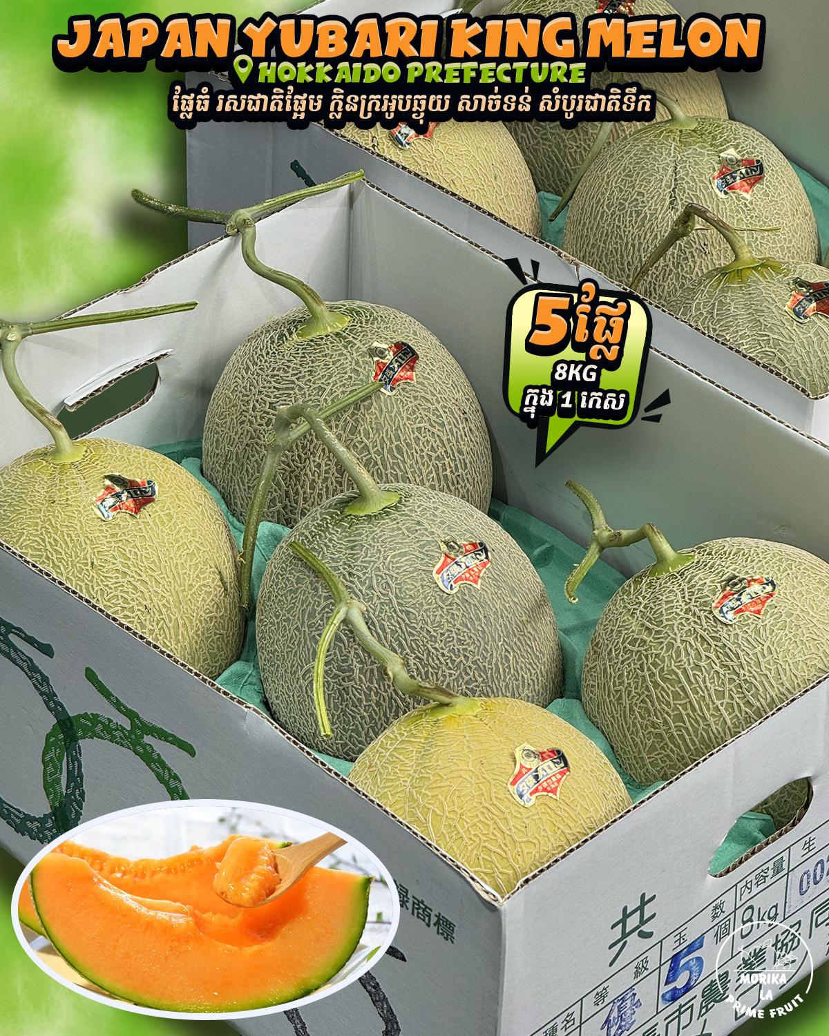Japan Red Flesh Melon Yubari #5 🍈 