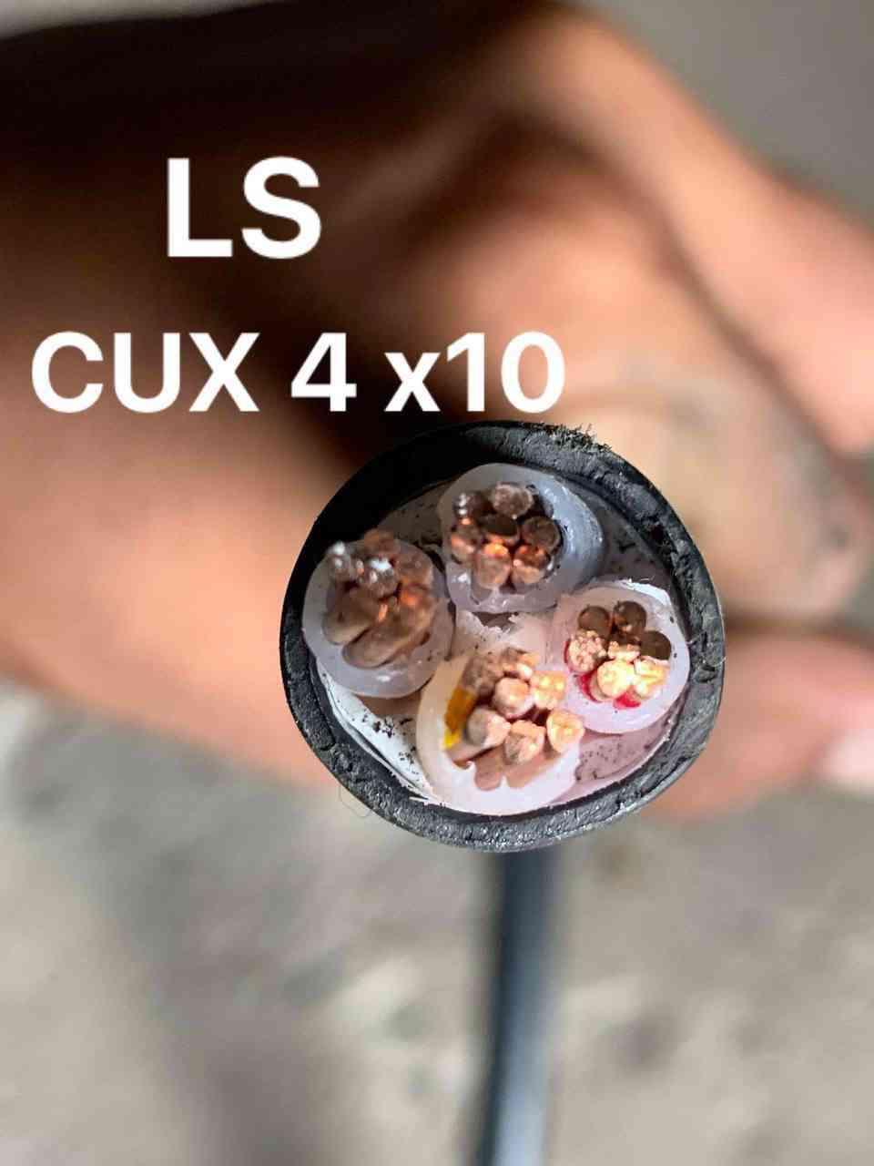 ខ្សែស្ពាន់កូរ៉េ  LS 4x10 Sq.mm