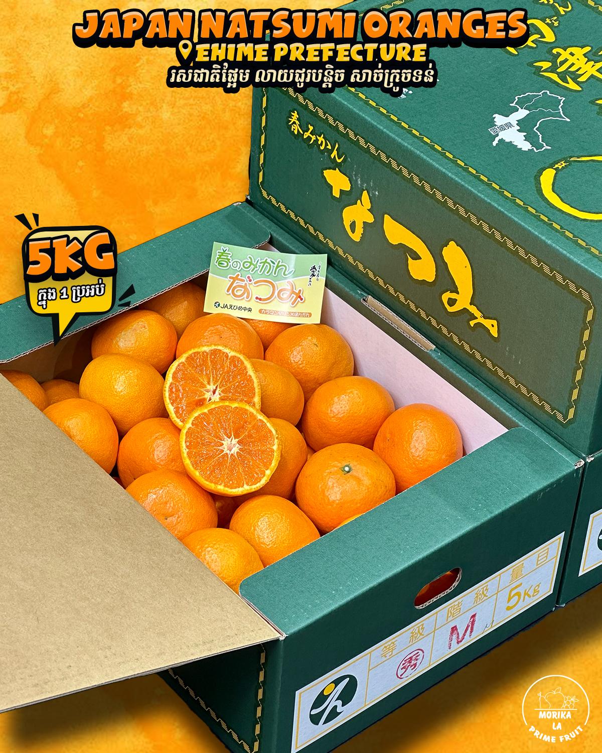 Japan Natsumi Oranges Gift Box 5kg 🍊 