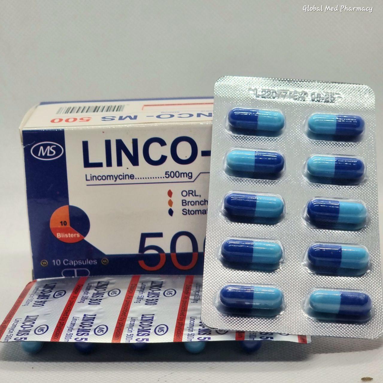 LINCO 500 MS  B/10x10