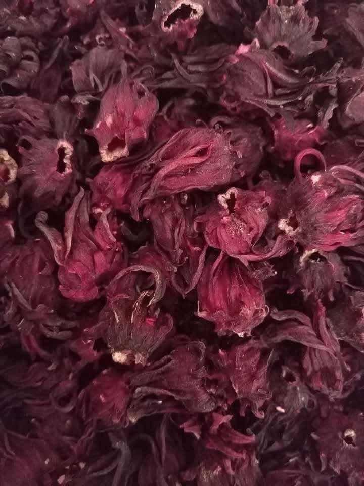 តែផ្ការម្ចូរព្រឹក