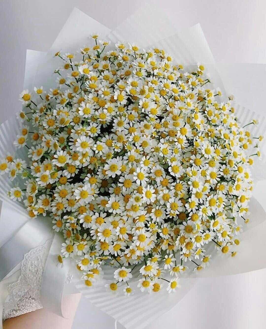 ដេសុី