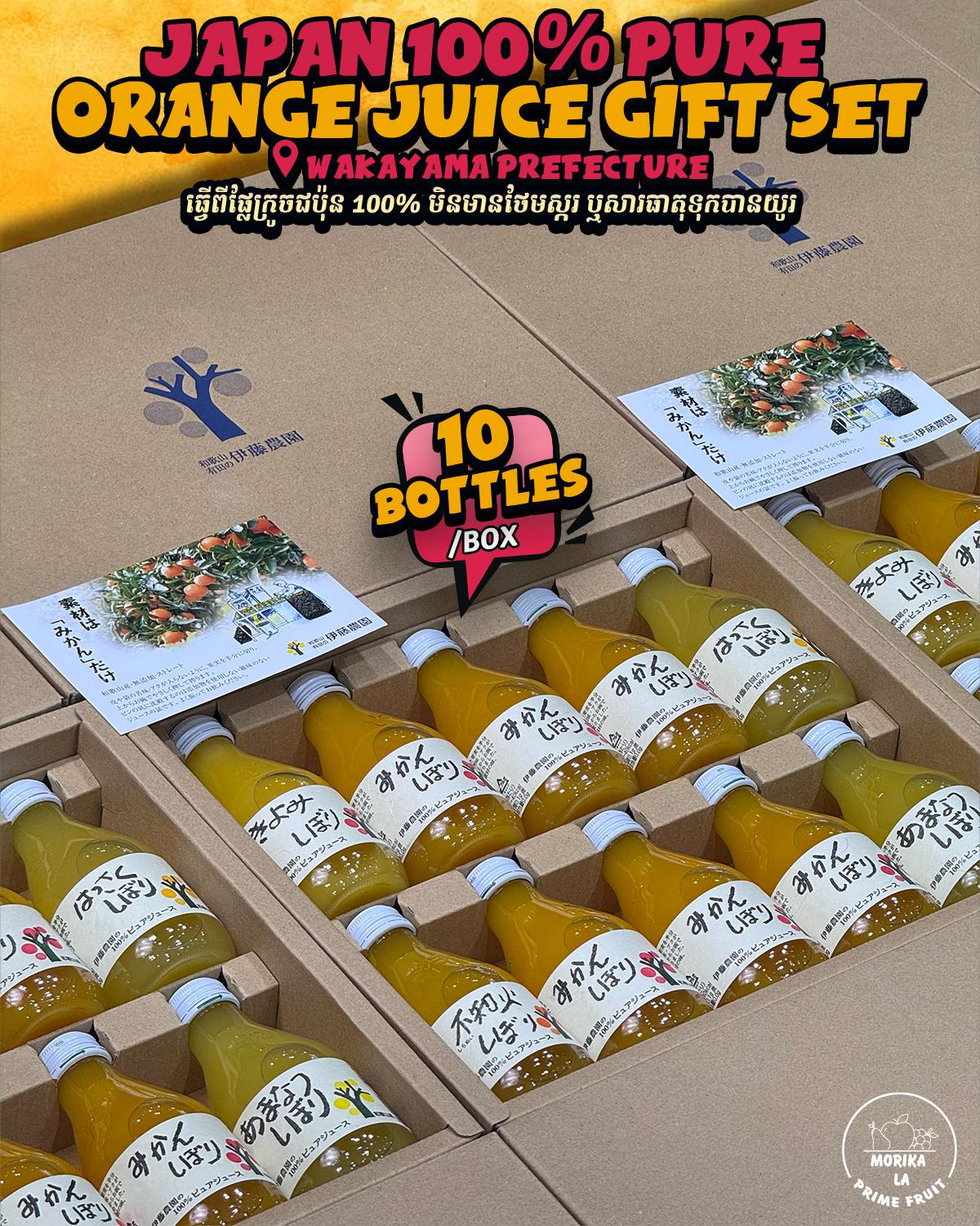 Japan 100% Orange Pure Juice Gift Set 10 Bottles 