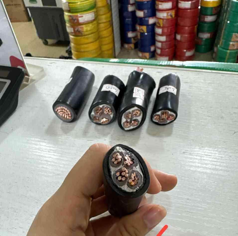 ខ្សែស្ពាន់កូរ៉េ  LS 4x10 Sq.mm