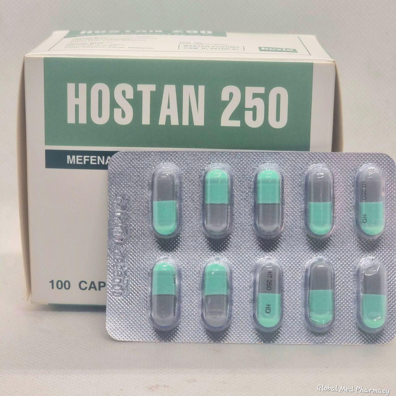 HOSTAN 250 B/10x10