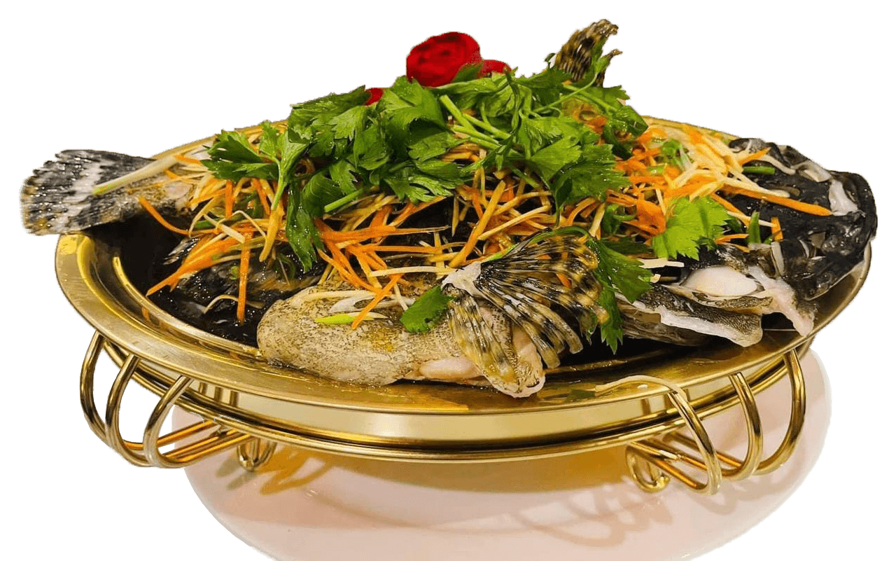 ត្រីតុកកែចំហុយទឹកស៊ីអ៊ីវ
