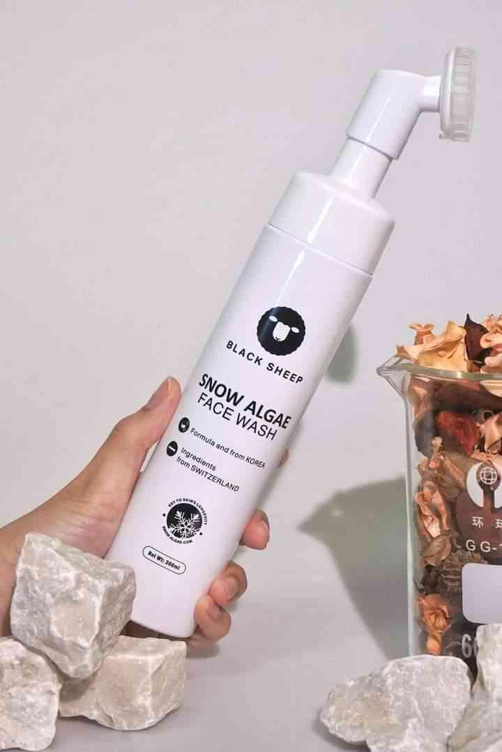 ហ្វូមចៀម