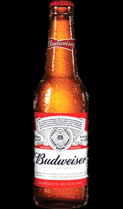 Budweiser Beer