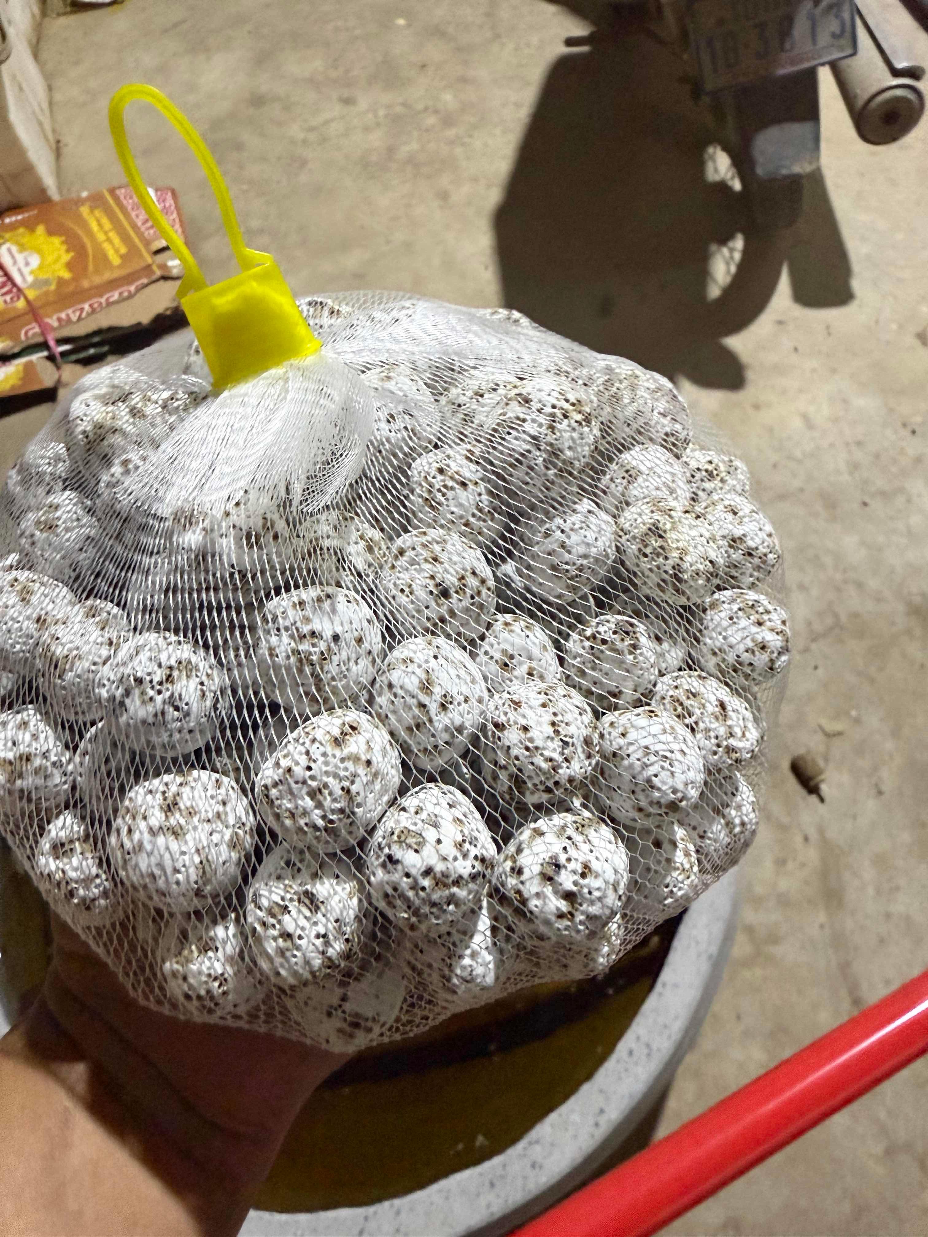 ថ្មគ្រាប់ពងគ្រួច