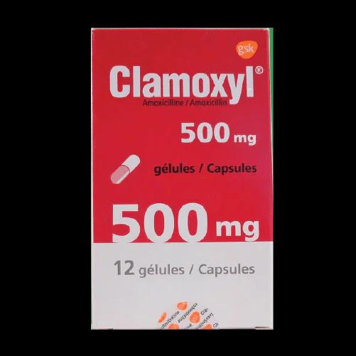 CLAMOXYL 500 B/12cp (Amoxicillin Expired:12/24)