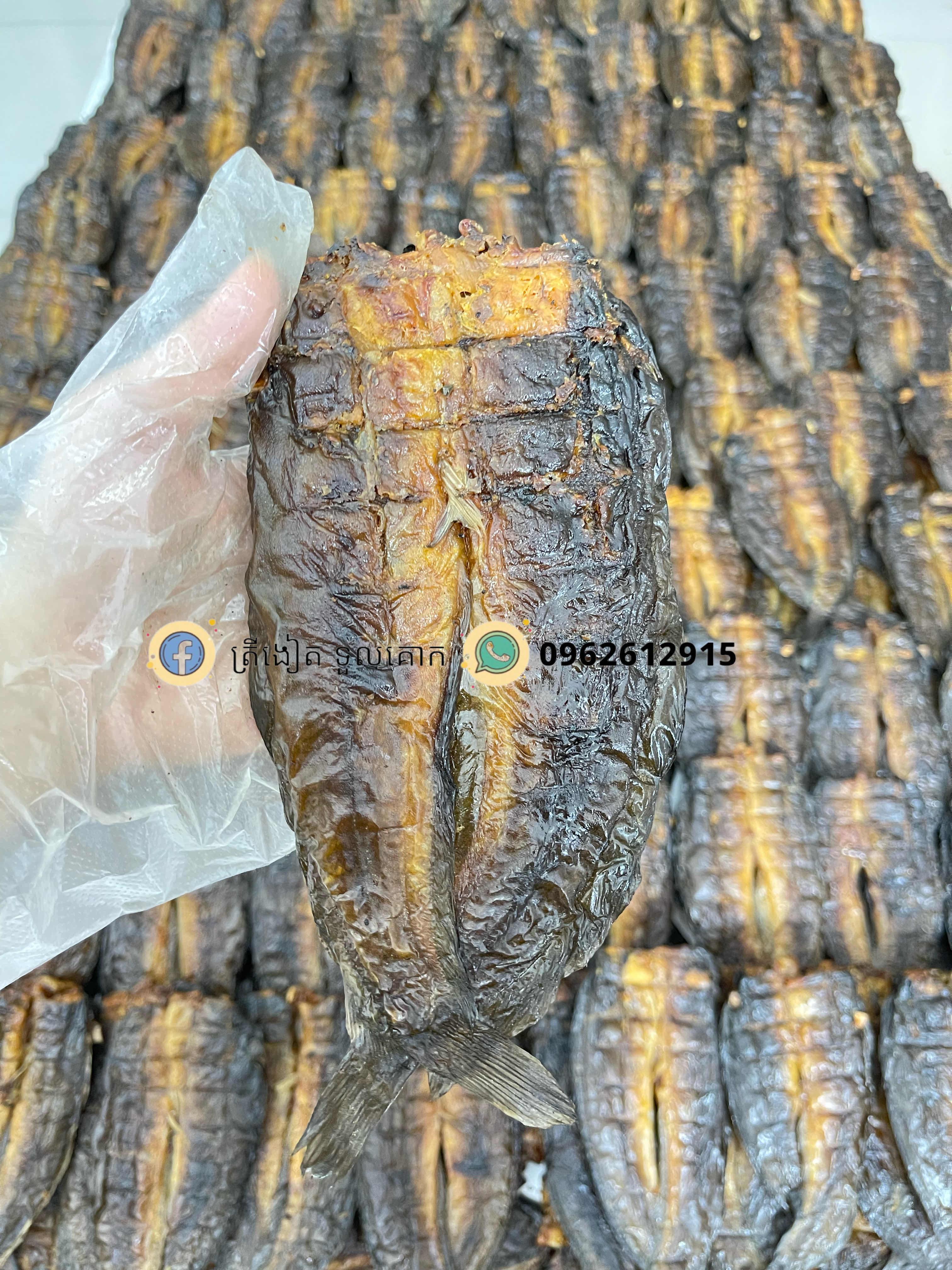 ត្រីអណ្តែងស្រែឆ្អើ