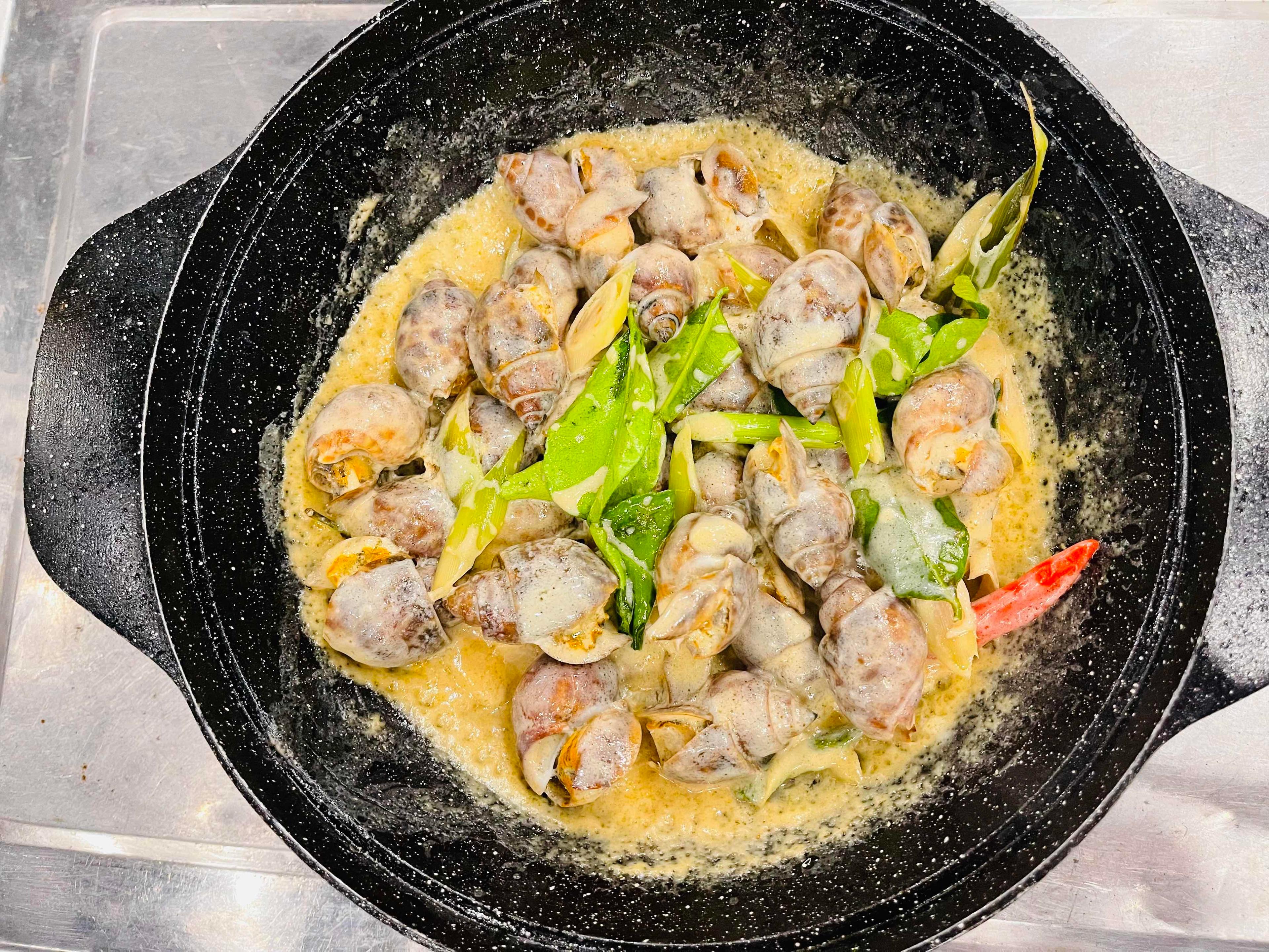 ខ្យងប៉ារ៉ាអប់ទឹកដោះគោ