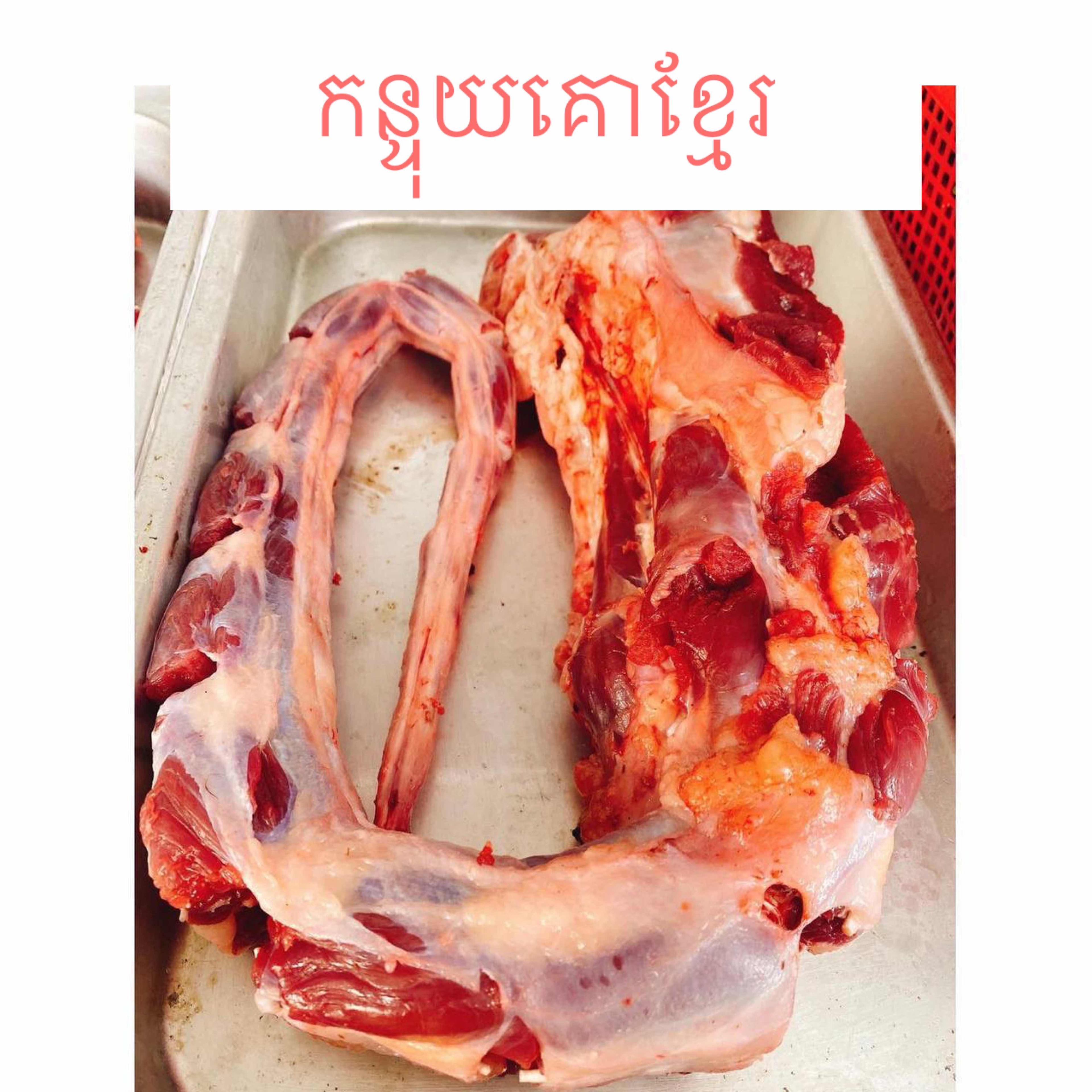 កន្ទុយគោ