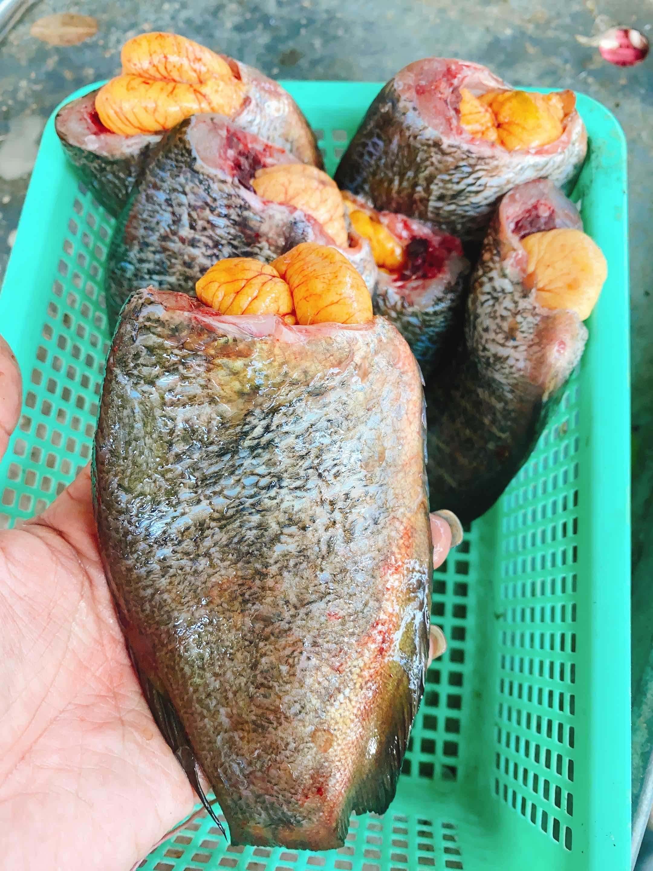 ត្រីកន្ធរពង