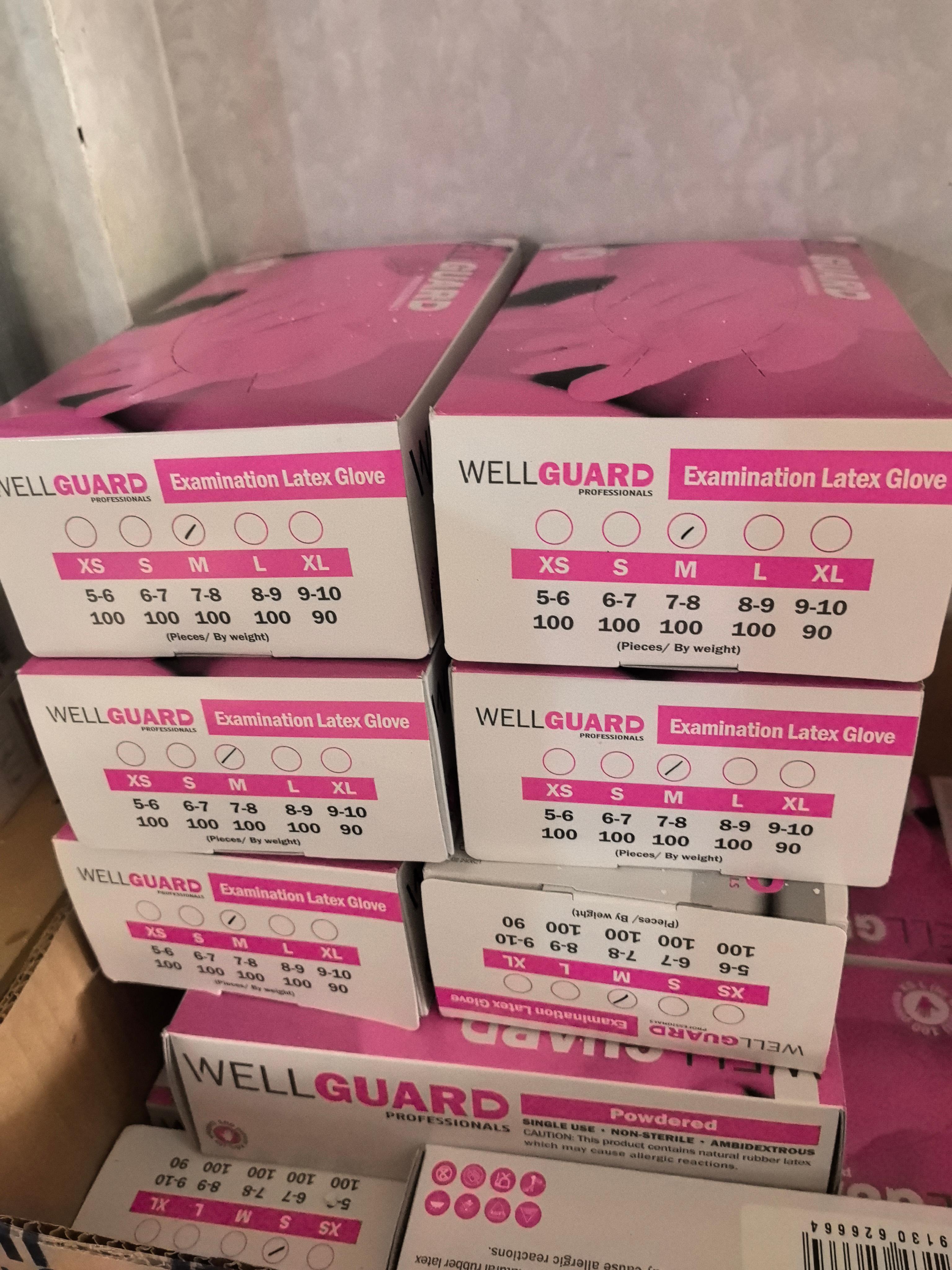 Wellguard M  Latex Glove 100pcs 